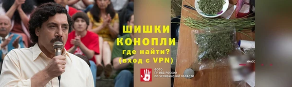 прущие грибы Лихославль
