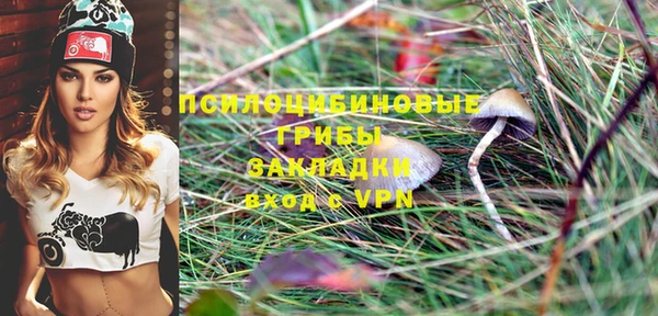 PSILOCYBIN Липки