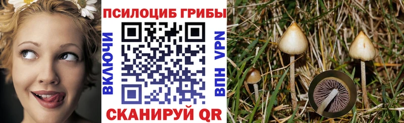 Галлюциногенные грибы мицелий  Сухой Лог 