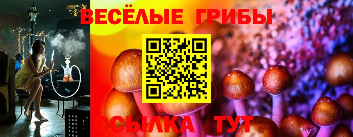 купить закладку  Псилоцибиновые грибы Magic Shrooms  Вход с VPN  Галлюциногенные грибы MAGIC MUSHROOMS  Сухой Лог 